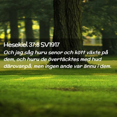 Picture 02 - Hesekiel 37:8 SV1917 - Och jag såg huru senor och kött växte på dem, - Bible Verse Picture