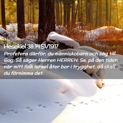 Picture 02 - Hesekiel 38:14 SV1917 - Profetera därför, du människobarn och säg - Bible Verse Picture