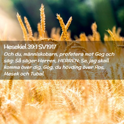 Picture 02 - Hesekiel 39:1 SV1917 - Och du, människobarn, profetera mot Gog och - Bible Verse Picture