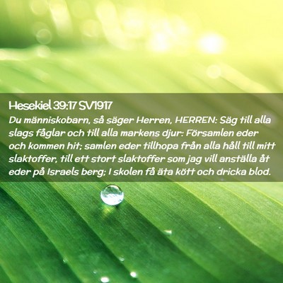 Picture 02 - Hesekiel 39:17 SV1917 - Du människobarn, så säger Herren, HERREN: Säg - Bible Verse Picture