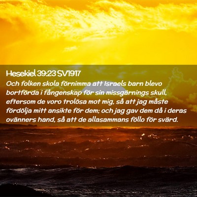 Picture 02 - Hesekiel 39:23 SV1917 - Och folken skola förnimma att Israels barn blevo - Bible Verse Picture