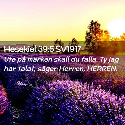 Picture 02 - Hesekiel 39:5 SV1917 - Ute på marken skall du falla. Ty jag har talat, - Bible Verse Picture