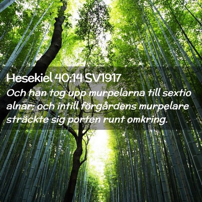 Picture 02 - Hesekiel 40:14 SV1917 - Och han tog upp murpelarna till sextio alnar; och - Bible Verse Picture