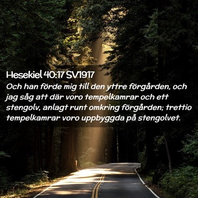 Picture 02 - Hesekiel 40:17 SV1917 - Och han förde mig till den yttre förgården, - Bible Verse Picture