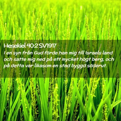 Picture 02 - Hesekiel 40:2 SV1917 - I en syn från Gud förde han mig till Israels - Bible Verse Picture