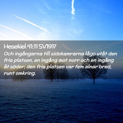 Picture 02 - Hesekiel 41:11 SV1917 - Och ingångarna till sidokamrarna lågo utåt den - Bible Verse Picture
