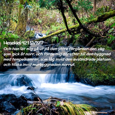 Picture 02 - Hesekiel 42:1 SV1917 - Och han lät mig gå ut på den yttre förgården - Bible Verse Picture