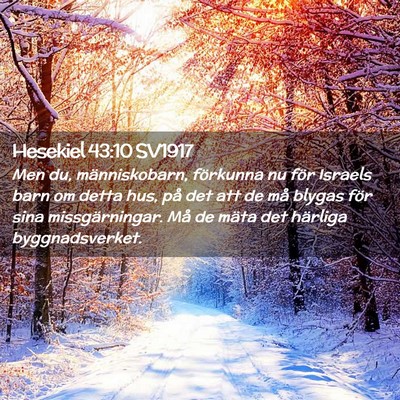 Picture 02 - Hesekiel 43:10 SV1917 - Men du, människobarn, förkunna nu för Israels - Bible Verse Picture