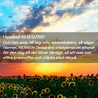 Picture 02 - Hesekiel 43:18 SV1917 - Och han sade till mig: »Du människobarn, så - Bible Verse Picture