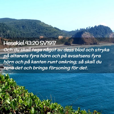 Picture 02 - Hesekiel 43:20 SV1917 - Och du skall taga något av dess blod och stryka - Bible Verse Picture