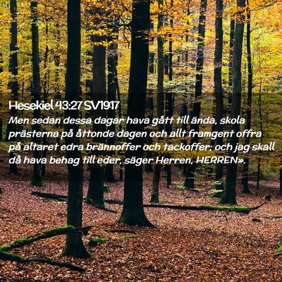 Picture 02 - Hesekiel 43:27 SV1917 - Men sedan dessa dagar hava gått till ända, - Bible Verse Picture