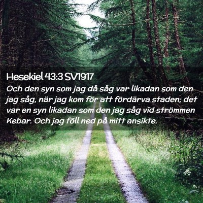 Picture 02 - Hesekiel 43:3 SV1917 - Och den syn som jag då såg var likadan som den - Bible Verse Picture
