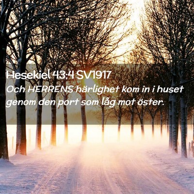 Picture 02 - Hesekiel 43:4 SV1917 - Och HERRENS härlighet kom in i huset genom den - Bible Verse Picture