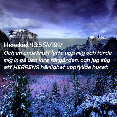 Picture 02 - Hesekiel 43:5 SV1917 - Och en andekraft lyfte upp mig och förde mig in - Bible Verse Picture
