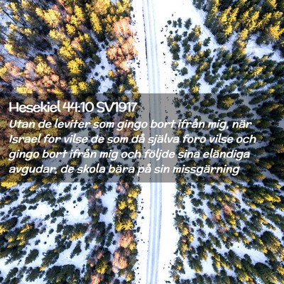 Picture 02 - Hesekiel 44:10 SV1917 - Utan de leviter som gingo bort ifrån mig, när - Bible Verse Picture