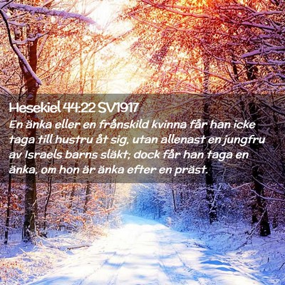 Picture 02 - Hesekiel 44:22 SV1917 - En änka eller en frånskild kvinna får han icke - Bible Verse Picture
