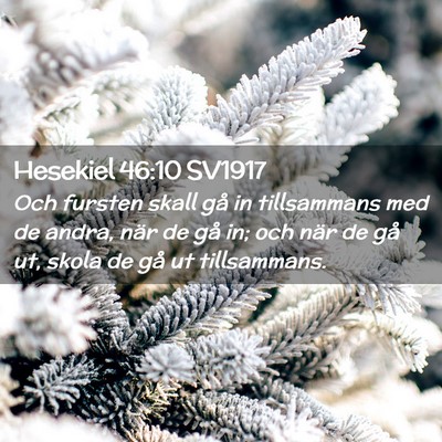 Picture 02 - Hesekiel 46:10 SV1917 - Och fursten skall gå in tillsammans med de - Bible Verse Picture