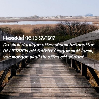 Picture 02 - Hesekiel 46:13 SV1917 - Du skall dagligen offra såsom brännoffer åt - Bible Verse Picture