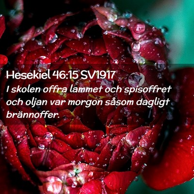Picture 02 - Hesekiel 46:15 SV1917 - I skolen offra lammet och spisoffret och oljan - Bible Verse Picture