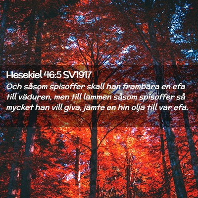 Picture 02 - Hesekiel 46:5 SV1917 - Och såsom spisoffer skall han frambära en efa - Bible Verse Picture