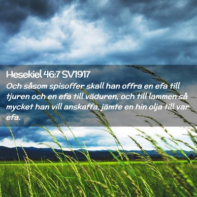 Picture 02 - Hesekiel 46:7 SV1917 - Och såsom spisoffer skall han offra en efa till - Bible Verse Picture