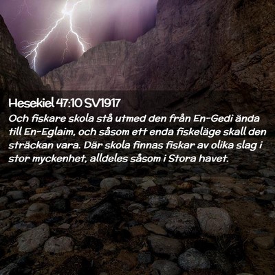 Picture 02 - Hesekiel 47:10 SV1917 - Och fiskare skola stå utmed den från En-Gedi - Bible Verse Picture