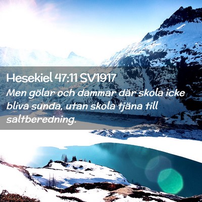 Picture 02 - Hesekiel 47:11 SV1917 - Men gölar och dammar där skola icke bliva - Bible Verse Picture