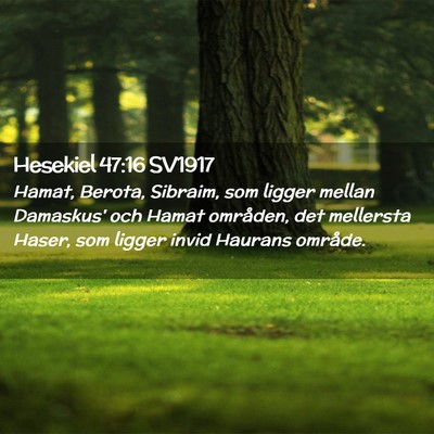Picture 02 - Hesekiel 47:16 SV1917 - Hamat, Berota, Sibraim, som ligger mellan - Bible Verse Picture
