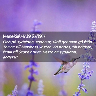Picture 02 - Hesekiel 47:19 SV1917 - Och på sydsidan, söderut, skall gränsen gå - Bible Verse Picture