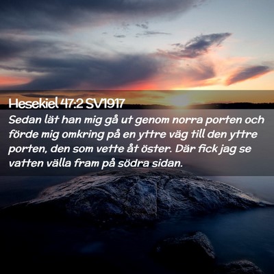 Picture 02 - Hesekiel 47:2 SV1917 - Sedan lät han mig gå ut genom norra porten och - Bible Verse Picture
