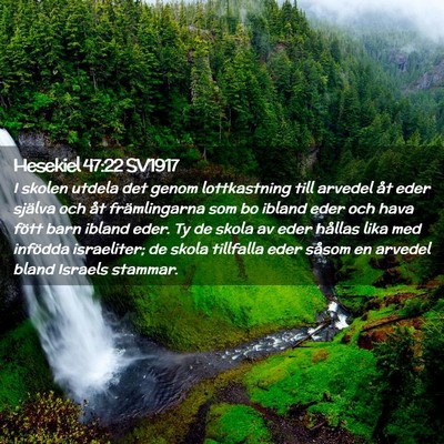 Picture 02 - Hesekiel 47:22 SV1917 - I skolen utdela det genom lottkastning till - Bible Verse Picture