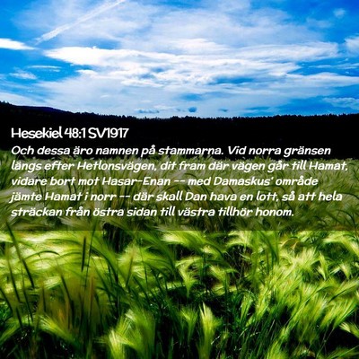 Picture 02 - Hesekiel 48:1 SV1917 - Och dessa äro namnen på stammarna. Vid norra - Bible Verse Picture