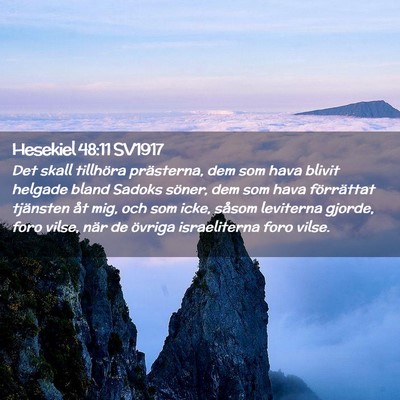 Picture 02 - Hesekiel 48:11 SV1917 - Det skall tillhöra prästerna, dem som hava - Bible Verse Picture