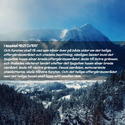 Picture 02 - Hesekiel 48:21 SV1917 - Och fursten skall få vad som bliver över på - Bible Verse Picture