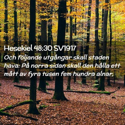 Picture 02 - Hesekiel 48:30 SV1917 - Och följande utgångar skall staden hava: På - Bible Verse Picture