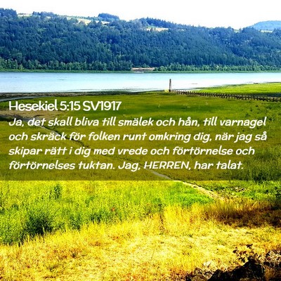 Picture 02 - Hesekiel 5:15 SV1917 - Ja, det skall bliva till smälek och hån, till - Bible Verse Picture
