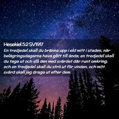 Picture 02 - Hesekiel 5:2 SV1917 - En tredjedel skall du bränna upp i eld mitt i - Bible Verse Picture