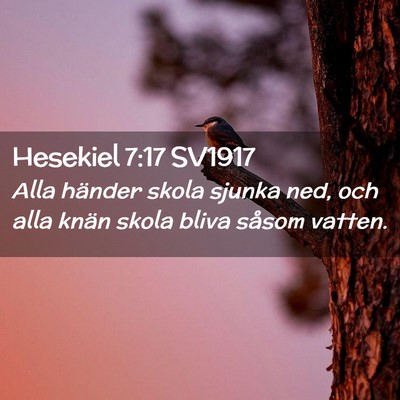 Picture 02 - Hesekiel 7:17 SV1917 - Alla händer skola sjunka ned, och alla knän - Bible Verse Picture
