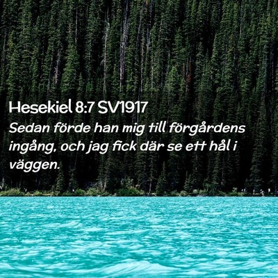 Picture 02 - Hesekiel 8:7 SV1917 - Sedan förde han mig till förgårdens ingång, - Bible Verse Picture