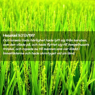 Picture 02 - Hesekiel 9:3 SV1917 - Och Israels Guds härlighet hade lyft sig från - Bible Verse Picture
