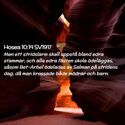 Picture 02 - Hosea 10:14 SV1917 - Men ett stridslarm skall uppstå bland edra - Bible Verse Picture