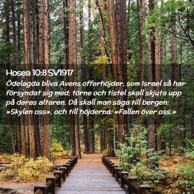Picture 02 - Hosea 10:8 SV1917 - Ödelagda bliva Avens offerhöjder, som Israel - Bible Verse Picture