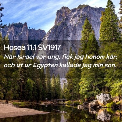 Picture 02 - Hosea 11:1 SV1917 - När Israel var ung, fick jag honom kär, och ut - Bible Verse Picture