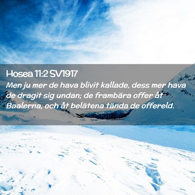 Picture 02 - Hosea 11:2 SV1917 - Men ju mer de hava blivit kallade, dess mer hava - Bible Verse Picture