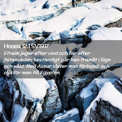 Picture 02 - Hosea 12:1 SV1917 - Efraim jagar efter vind och far efter - Bible Verse Picture