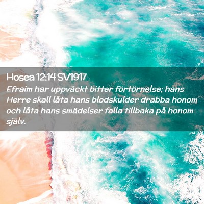 Picture 02 - Hosea 12:14 SV1917 - Efraim har uppväckt bitter förtörnelse; hans - Bible Verse Picture