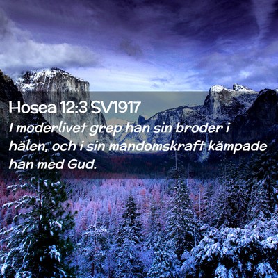 Picture 02 - Hosea 12:3 SV1917 - I moderlivet grep han sin broder i hälen, och i - Bible Verse Picture
