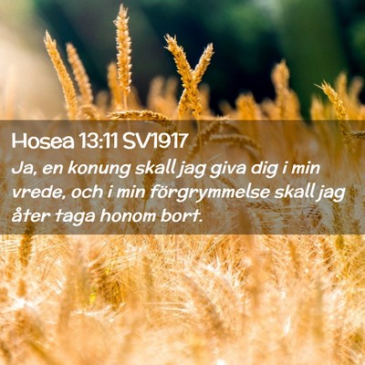 Picture 02 - Hosea 13:11 SV1917 - Ja, en konung skall jag giva dig i min vrede, och - Bible Verse Picture