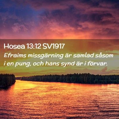 Picture 02 - Hosea 13:12 SV1917 - Efraims missgärning är samlad såsom i en pung, - Bible Verse Picture
