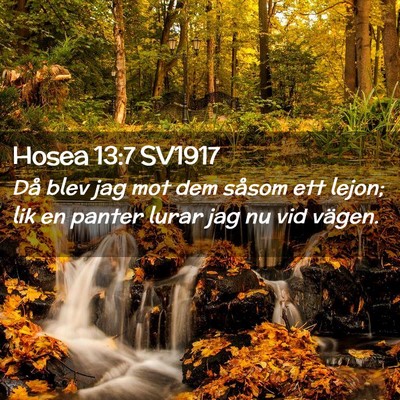 Picture 02 - Hosea 13:7 SV1917 - Då blev jag mot dem såsom ett lejon; lik en - Bible Verse Picture